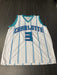 Terry Rozier  Charlotte Hornets Jersey Size XL